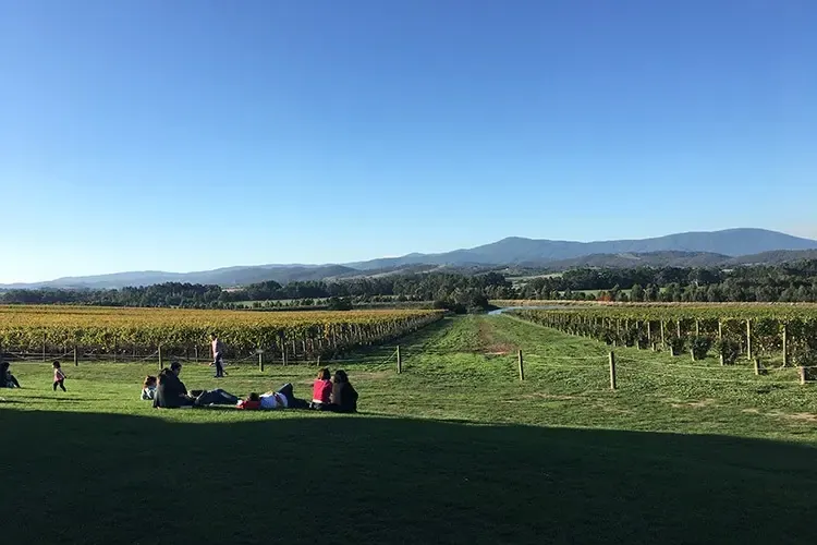 Grupo da Debby Tour numa vinícola do Yarra Valley